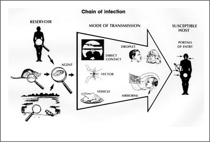 chain of infection